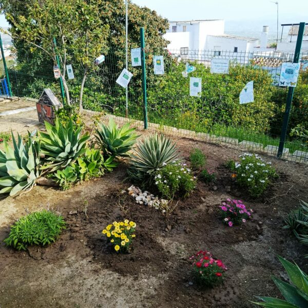 Reciclaje en el Ecopicasso: Propuesta del Aula Específica
