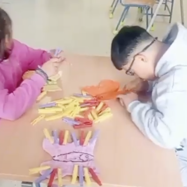 🦋✨ “REDECORAMOS nuestro Oasis de Mariposas” ✨🌸