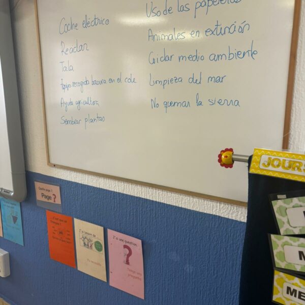 “Anuncios Sostenibles: Aprender a Comunicar y Cuidar el Planeta”