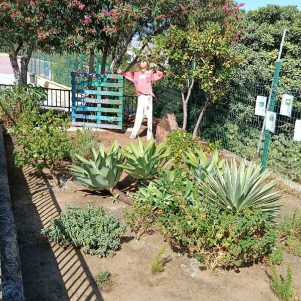 “¡Reabre nuestro Hotel de Mariposas!”