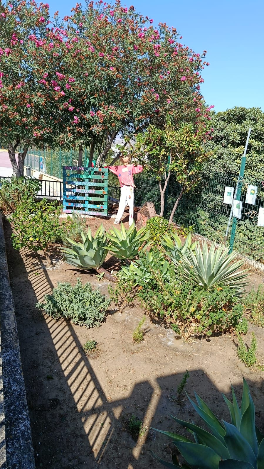 “¡Reabre nuestro Hotel de Mariposas!”