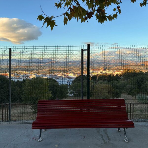 Colaboración con AMPA Albaicín y familias 🎨🤝💛