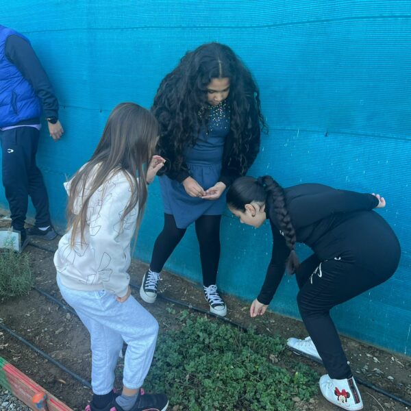 🌱✨ “¡POR FIN SEMBRAMOS NUESTRAS HABAS!” ✨🌱