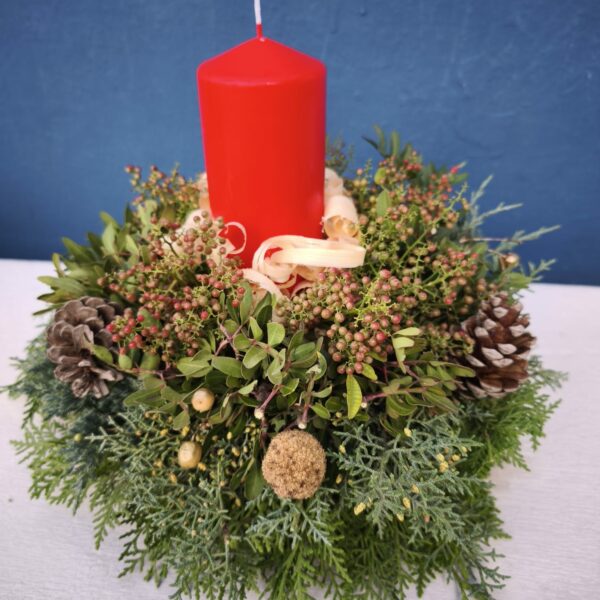 COLABORACIÓN CON JARDINERIA