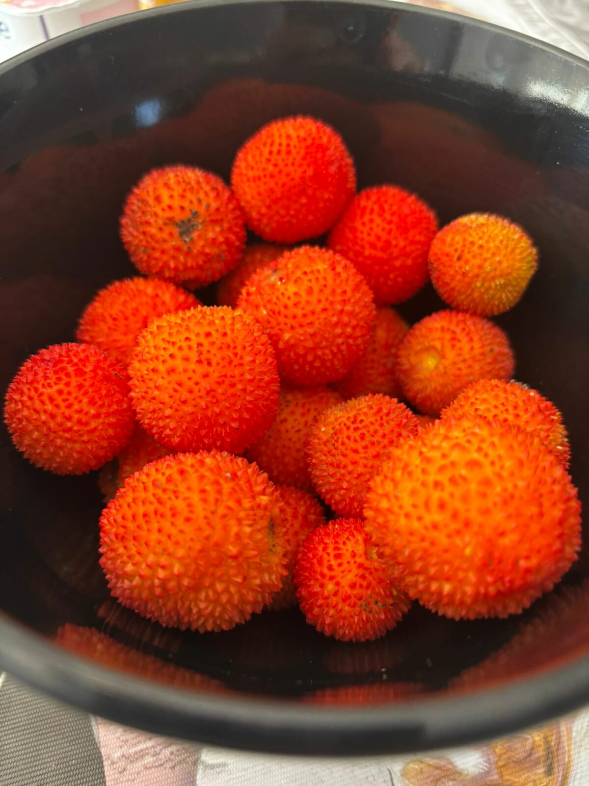 🌿✨ “Cuidamos y seguimos nuestro huerto escolar” ✨🌿