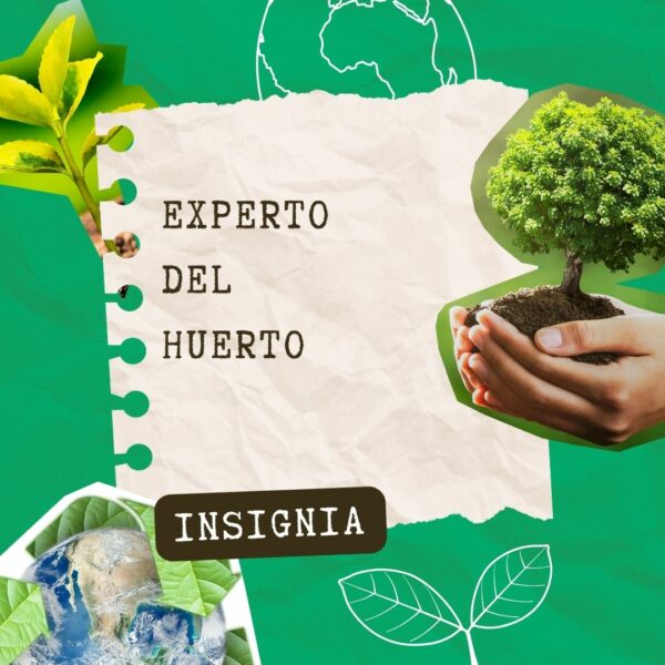 🌱 Compost en Acción: Aprende a Transformar Residuos en Nutrientes 🌱