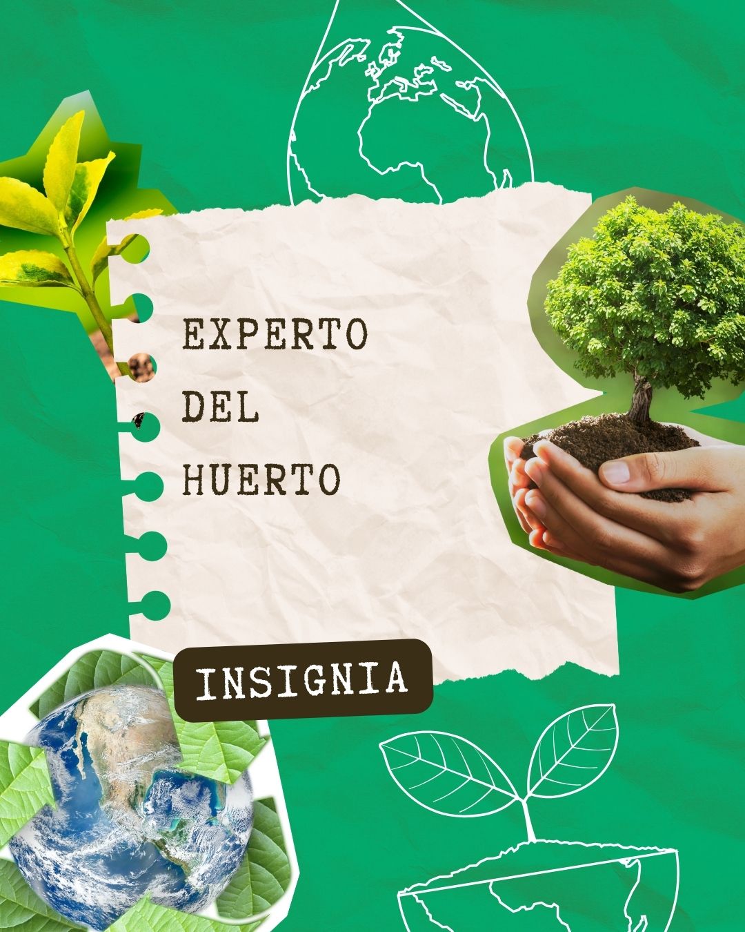 🌱 Compost en Acción: Aprende a Transformar Residuos en Nutrientes 🌱