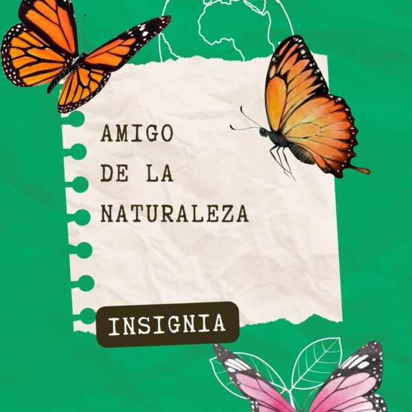 🌱 Desarrollo de las Situaciones de Aprendizaje (SDA)