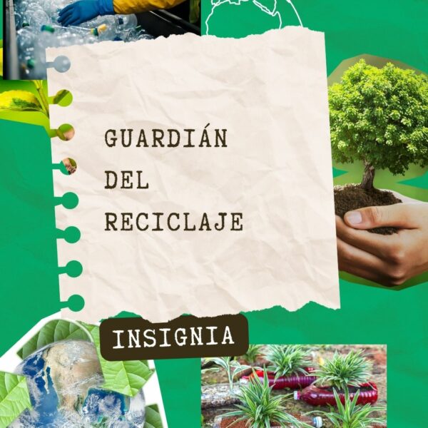 💻 Recogida de información y trabajo digital con Canva 💻