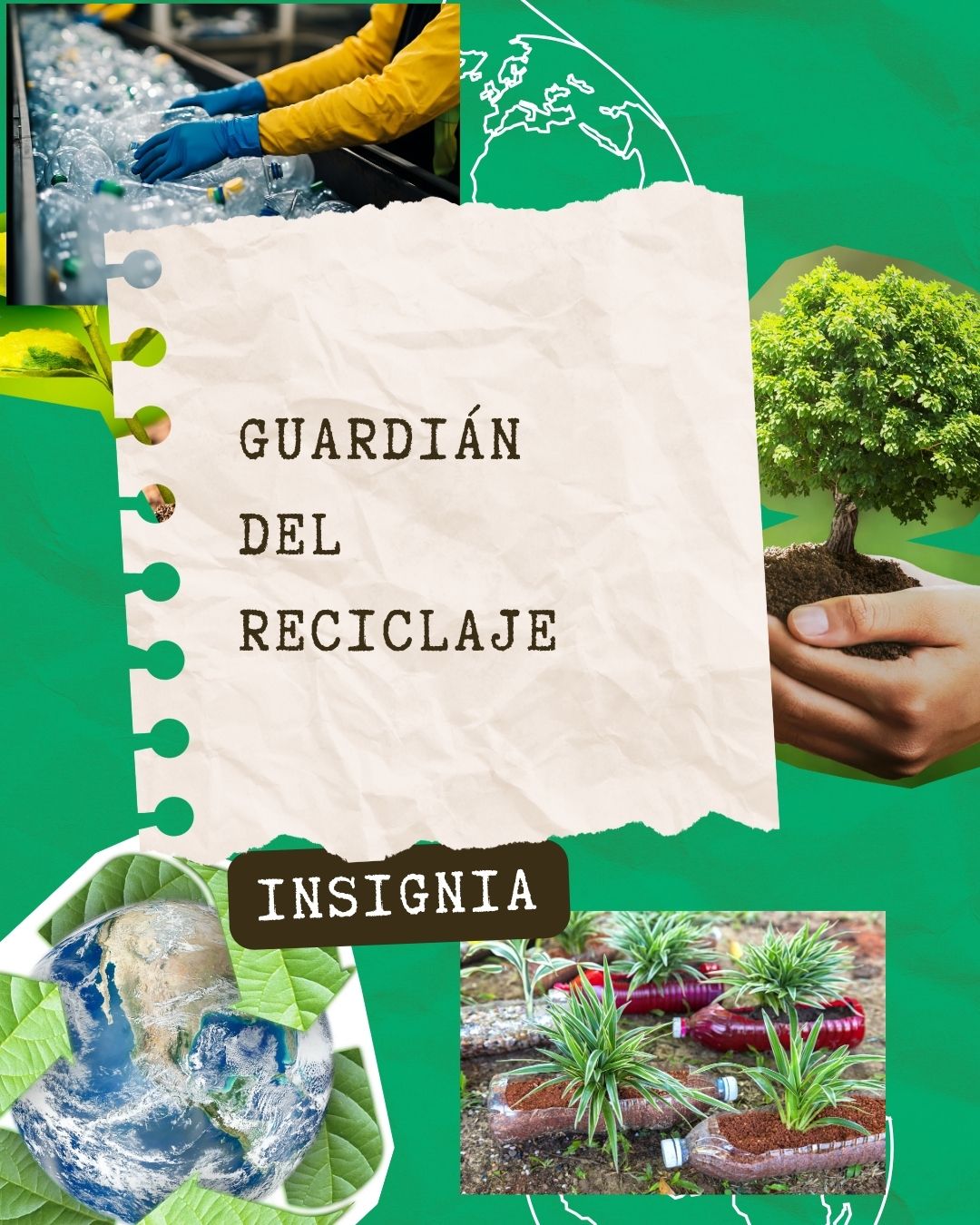 💻 Recogida de información y trabajo digital con Canva 💻