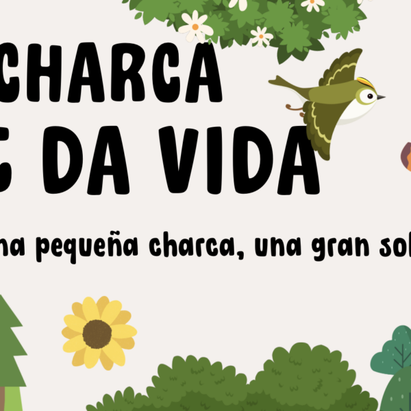 🖥️ Canvas Interactivo: Toda la Charca en un Vistazo