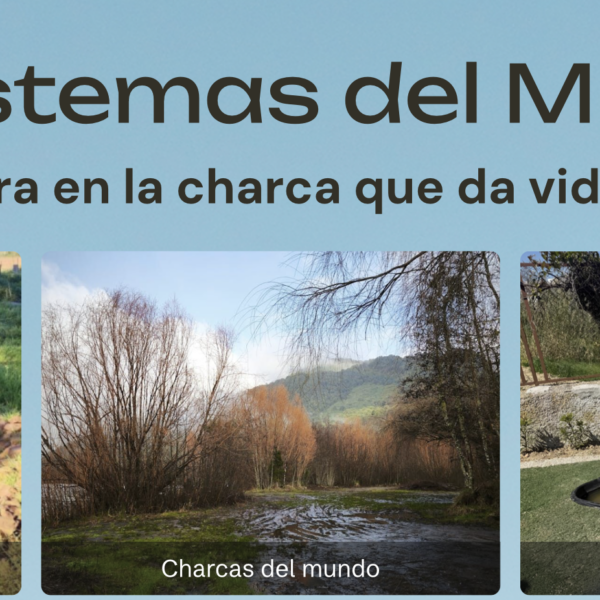 🌟 Pequeños Exploradores, Grandes Presentaciones: De Vídeos a Genially