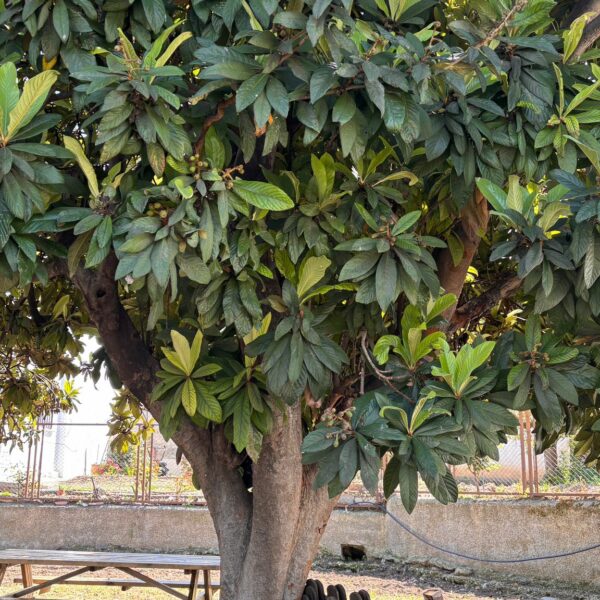 Cómo cuidar el planeta: investigamos, exploramos y escribimos 🌍✍️💻