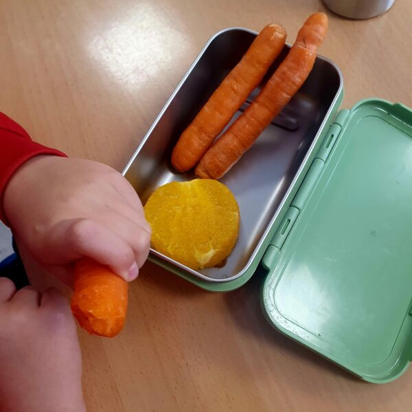 “HÁBITOS SALUDABLES EN ACCIÓN: PROGRAMA DE FRUTA EN LA ESCUELA”