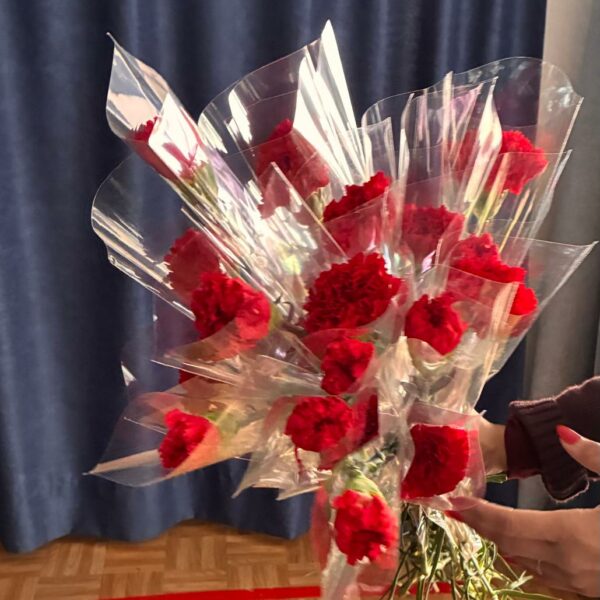 “CARTAS, CLAVELES Y CORAZONES: CELEBRANDO EL DÍA DE LA AMISTAD”