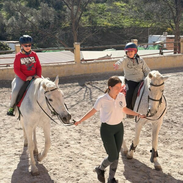 VISITA DEL AULA ESPECÍFICA A LOS NOGALES