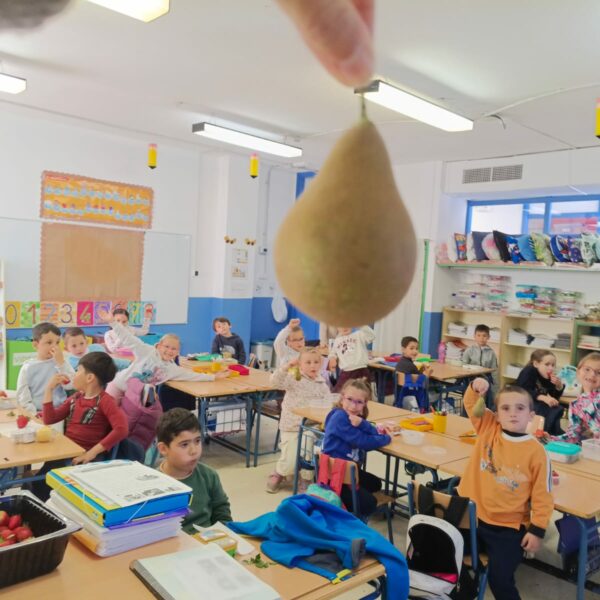 SEGUNDA ENTREGA DE FRUTA DESDE LA JJAA