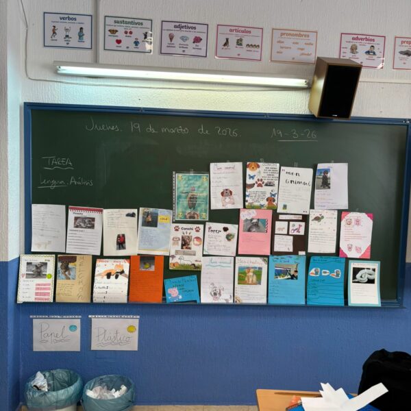 LES ANIMAUX, 5º DE PRIMARIA