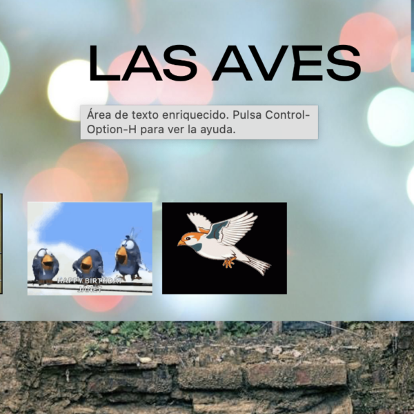 OBSERVADORES DE AVES