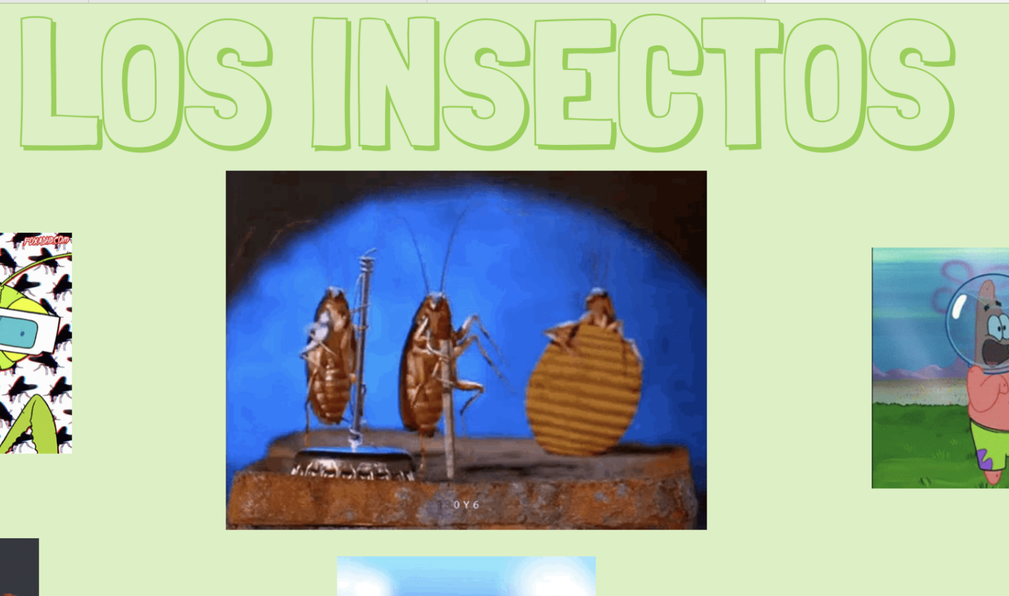 Detectives de insectos 🕵️‍♂️🐞