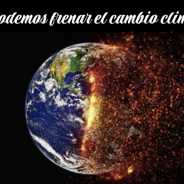 Cómo frenamos el cambio climático 🌍🔥❌